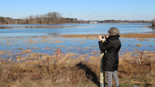 A woman taking a picture with her phone on a Picture Post in a marsh