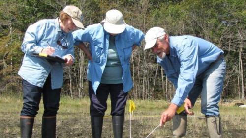 volunteers looking at sample area