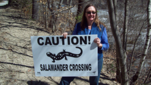 volunteers holding salamander crossing sign