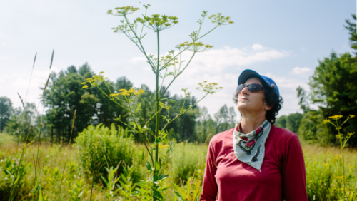 Ellen Snyder and wild parsnip