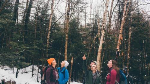 people looking at the sky